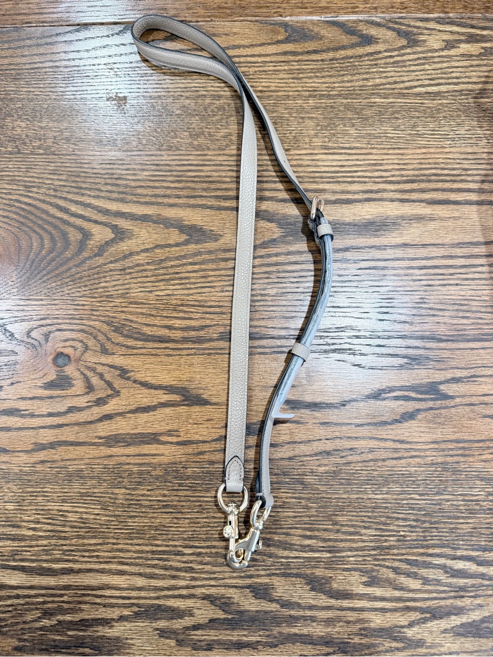 Coach Taupe Leather Crossbody Strap with Gold Hardware